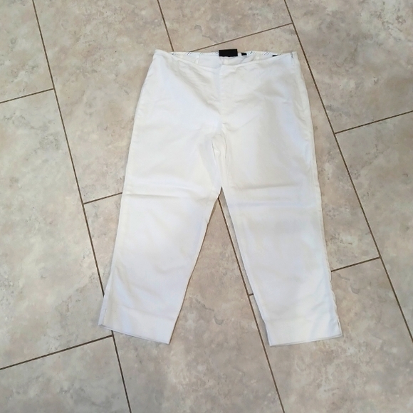 The Limited Capri Pants - Picture 1 of 3
